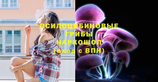 меф Арсеньев