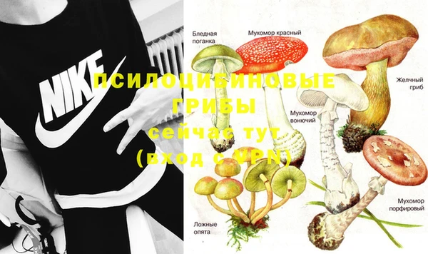 меф Арсеньев