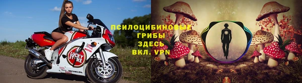эйфоретик Армянск