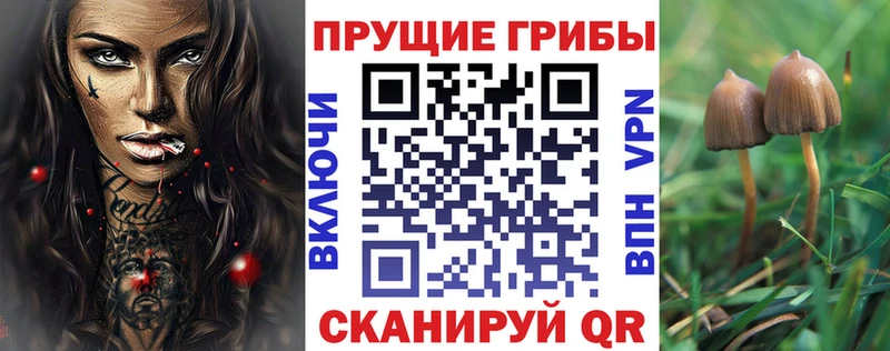 Псилоцибиновые грибы прущие грибы Уржум